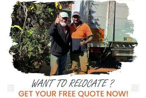 Quick Shift gallery 7